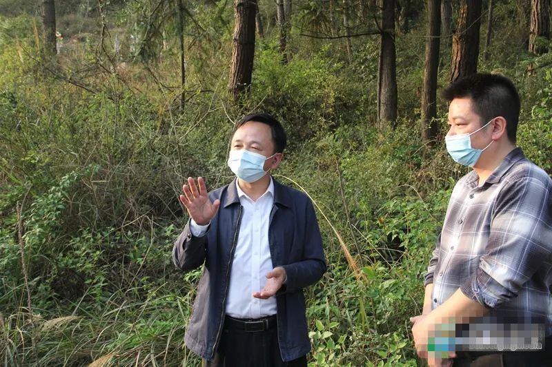 田刚开展巡山巡河工作 - 通道县人民政府