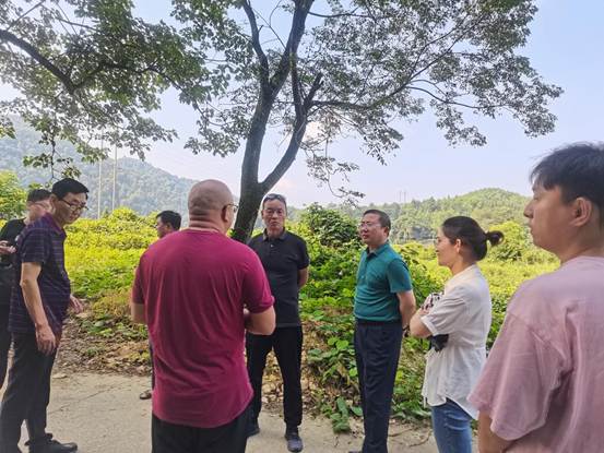 说明: 为茶叶基地建设选址现召开现场会1