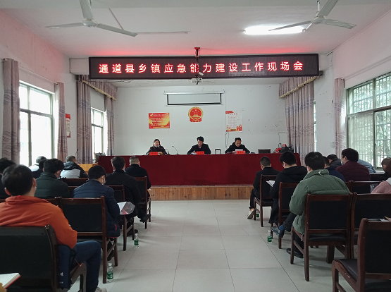 通道:召开乡镇应急能力建设工作现场会 通道县人民政府
