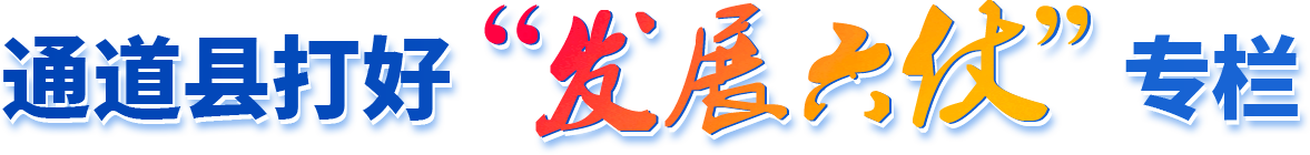 通道县打好"发展六仗"专栏