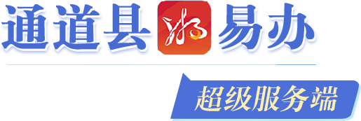 通道县湘易办超级服务端