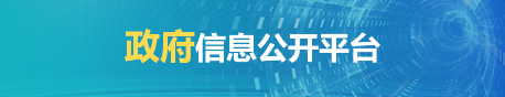 政府信息公开平台