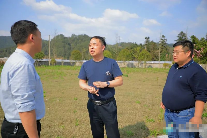 毛运鸿开展巡河工作 - 通道县人民政府